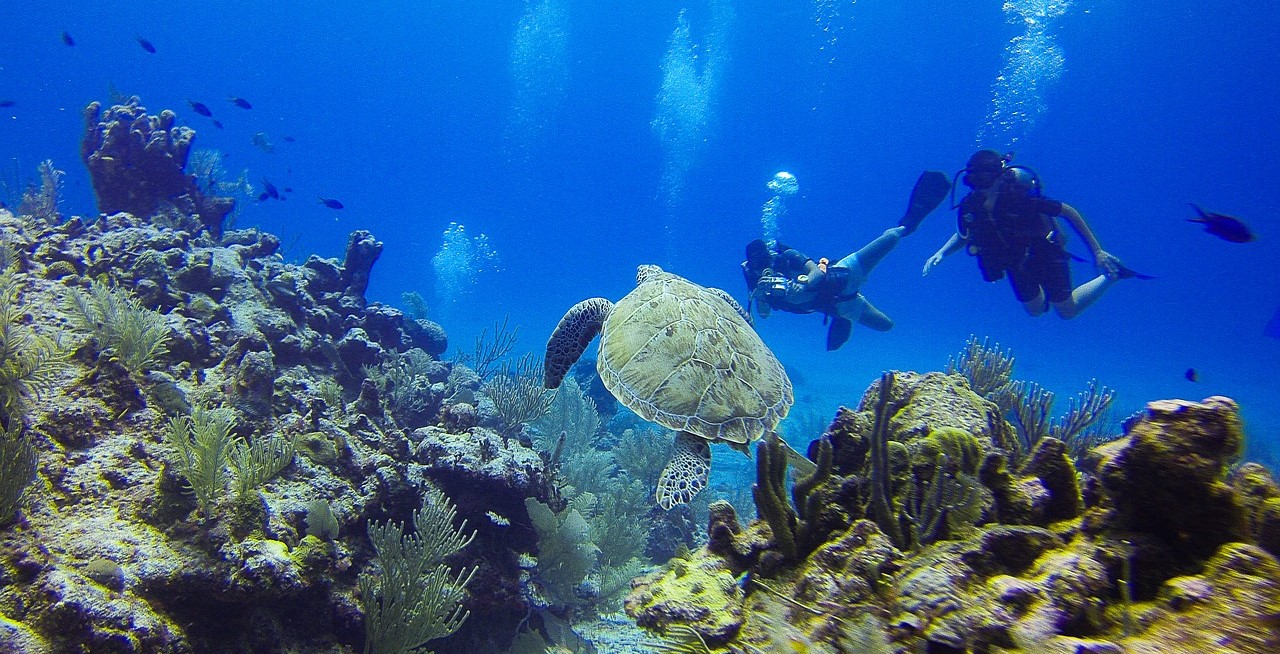 zanzibar-puente-diciembre-viajes-monoparentales-verano-2016