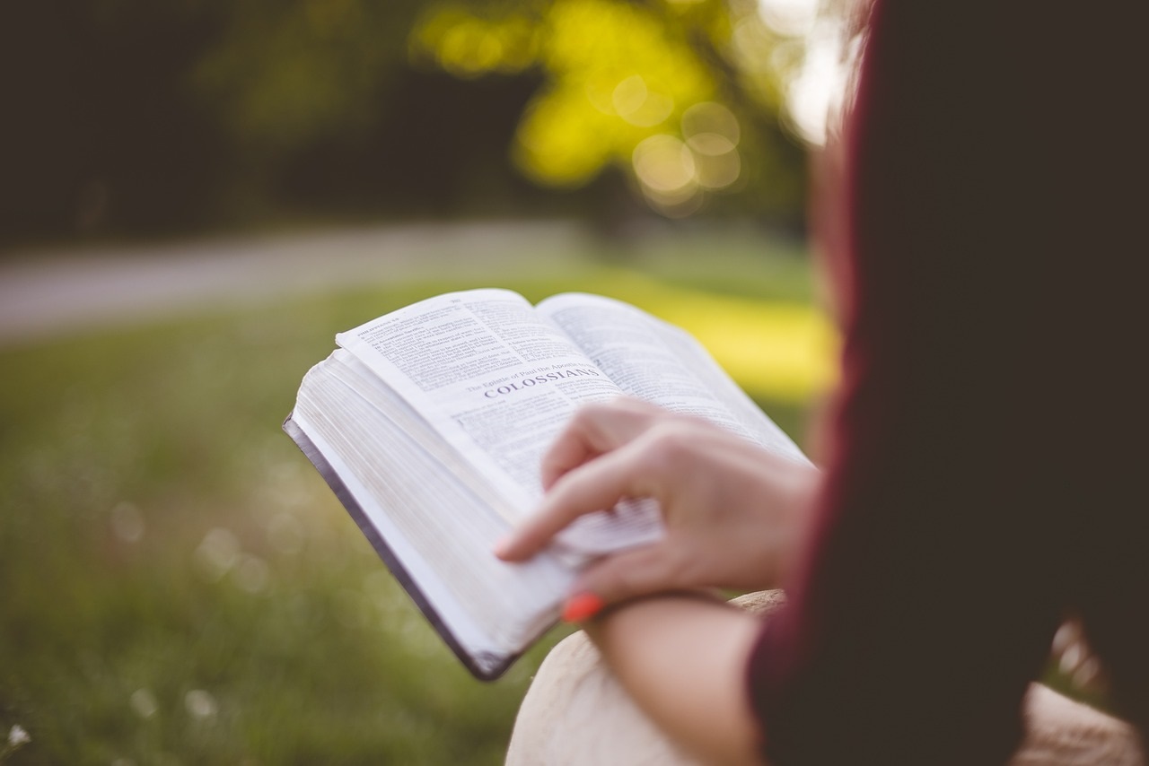 estudiar en las vacaciones de verano